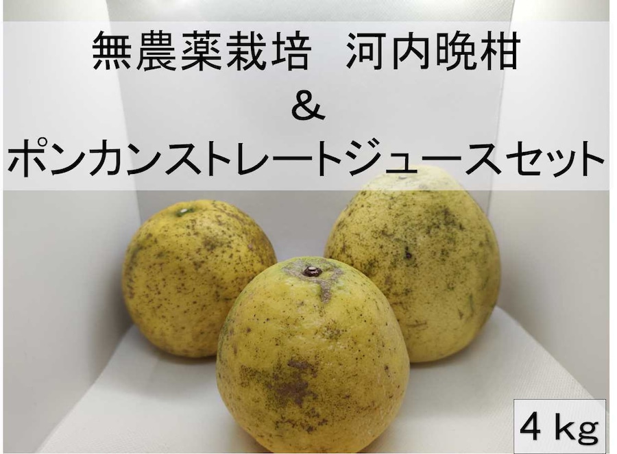 無農薬 河内晩柑 4kg ＆ ポンカンストレートジュース 1本セット