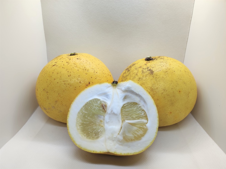 無農薬 文旦 4kg