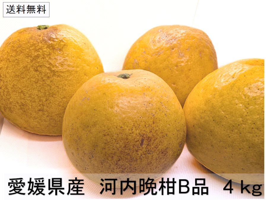 河内晩柑 B品・家庭用 4kg