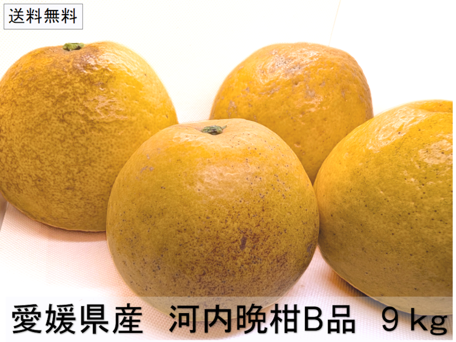 河内晩柑 B品・家庭用 9kg（18〜36個）